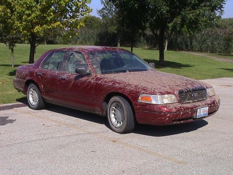 2000 Ford Crown Victoria - Sep-01-2007-05