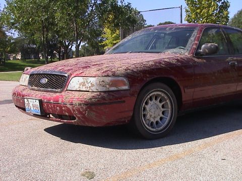 2000 Ford Crown Victoria - Sep-01-2007-07