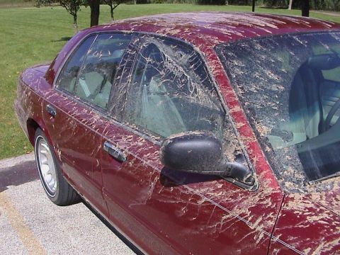 2000 Ford Crown Victoria - Sep-01-2007-10