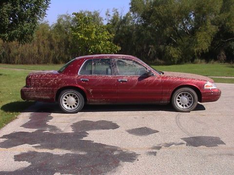 2000 Ford Crown Victoria - Sep-01-2007-12