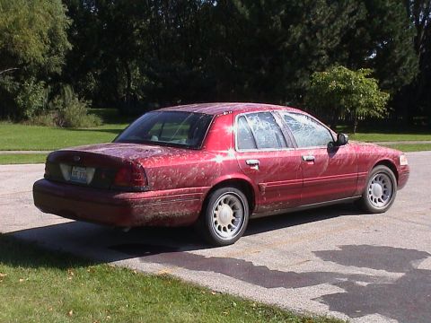 2000 Ford Crown Victoria - Sep-01-2007-13