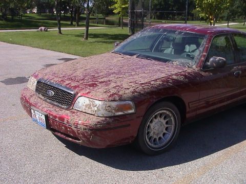 2000 Ford Crown Victoria - Sep-01-2007-21