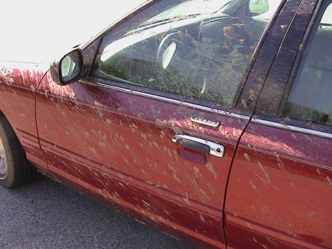 2000 Ford Crown Victoria - Sep-01-2007-22
