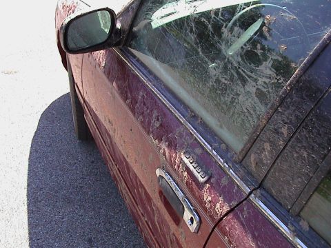 2000 Ford Crown Victoria - Sep-01-2007-23