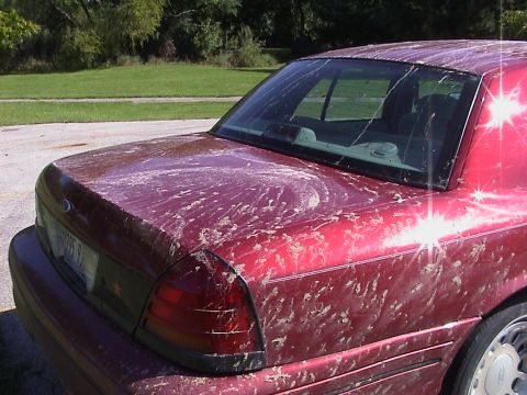 2000 Ford Crown Victoria - Sep-01-2007-26