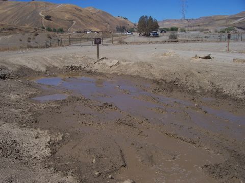 1991 Ford Bronco - A muddy track with tire ruts and puddles under a clear blue sky.