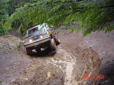 1989 Ford Bronco - Wooo hoooo look at the tire!!