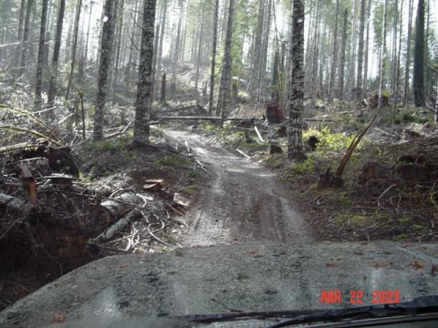1989 Ford Bronco - Pretty cool trail, Class A