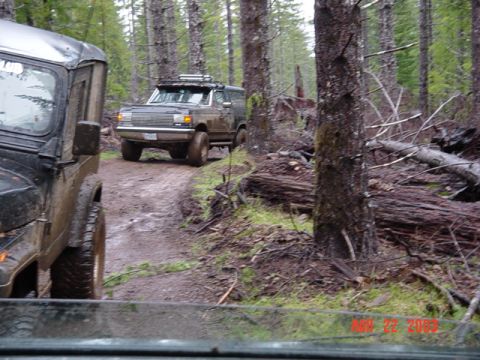 1989 Ford Bronco - Just an old logging road
