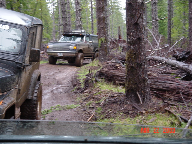 Just an old logging road