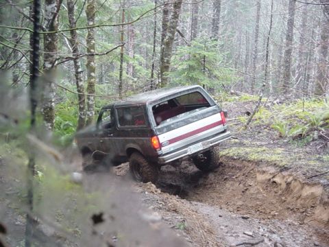1989 Ford Bronco - Had some rutty sections