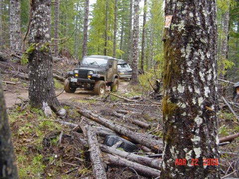 1989 Ford Bronco - Jeep in the woods
