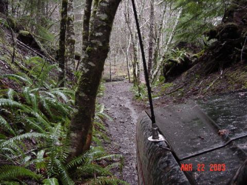 1989 Ford Bronco - Trail started getting real tight