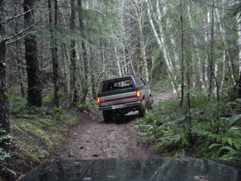 1989 Ford Bronco - Still seemed ok tho... (Frank)