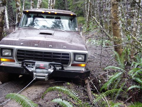 1989 Ford Bronco - Scared the crap out of him!! (Frank)