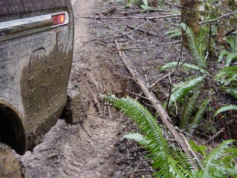 1989 Ford Bronco - The hole (Frank)