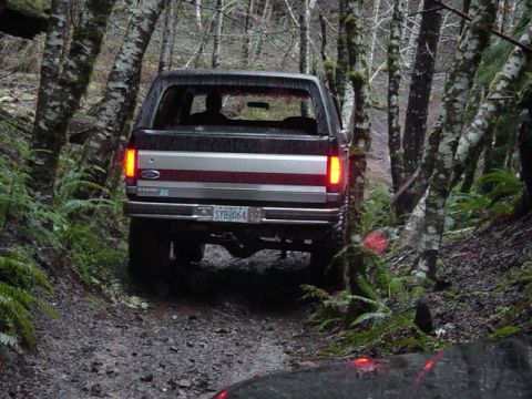 1989 Ford Bronco - Trees are getting real close (Frank)