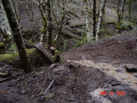 1989 Ford Bronco - End of the line...The trail crossed a creek. and was only big enough for a motorcycle