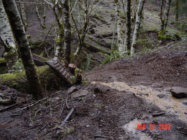 End of the line...The trail crossed a creek. and was only big enough for a motorcycle