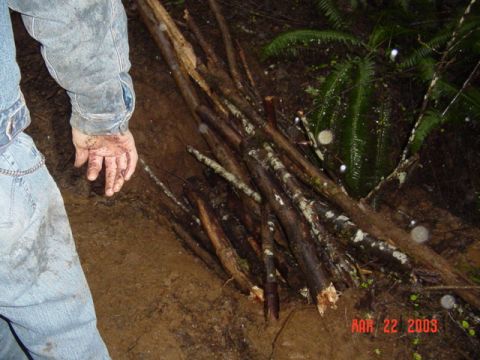 1989 Ford Bronco - Piled some sticks into Jons hole
