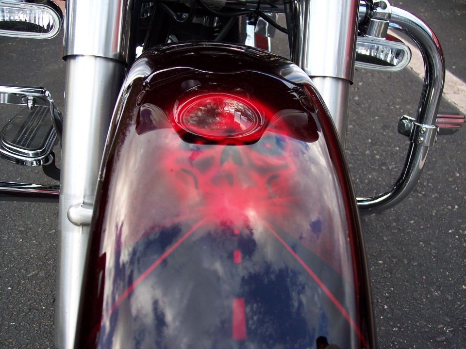 Motorcycle front fender with red flame airbrushing and chrome accents