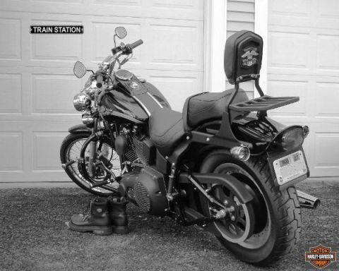 2003 Harley-Davidson Softail photo