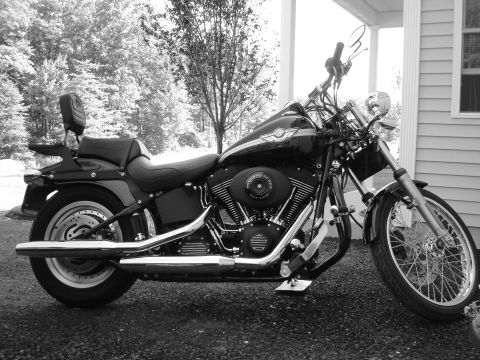2003 Harley-Davidson Softail photo