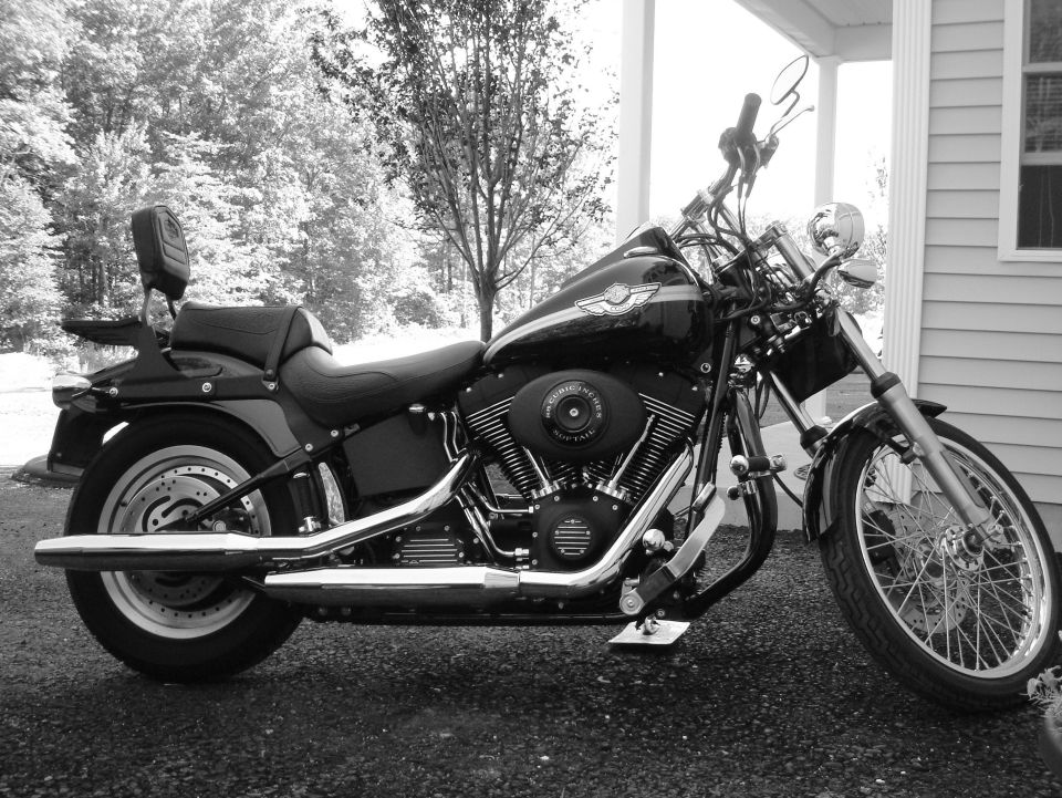Black Harley-Davidson Softail motorcycle parked outside a house. It has a passenger backrest and chrome exhaust pipes