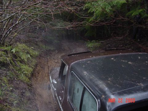 1989 Ford Bronco - Then hooked his winch to a tree Way up there