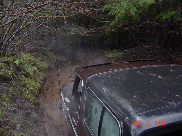 Then hooked his winch to a tree Way up there