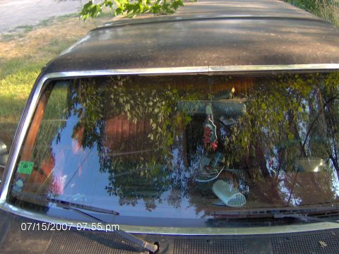 1987 Ford Bronco - View across the hood of a black truck toward the windshield and roofline, glass reflecting overhanging tree branches and blue sky. Inside,…