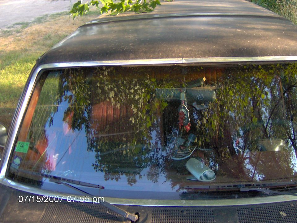 Windshield of black truck reflecting trees, dash and mirror ornament visible inside
