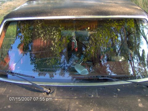 1987 Ford Bronco - Close-up of the windshield and cowl vent grille of a black truck, shot from the hood with wiper arms and a dirty, tree-reflecting glass. Th…