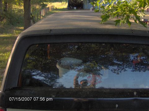 1987 Ford Bronco - Close-up of the weathered black roof and tinted rear liftgate glass of an SUV parked in a grassy yard, with a red-lettered decal on the ins…