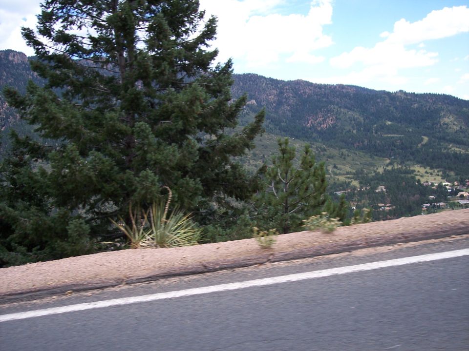 Mountainous area with pine trees and a road in the foreground