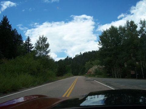 1972 Ford Ranchero - View from inside a car driving on a scenic road through a forest with a bright blue sky.