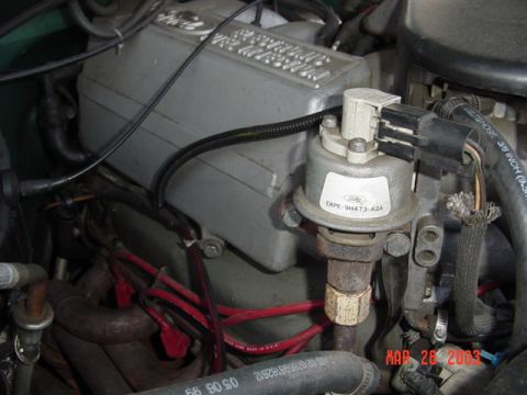 1989 Ford Bronco - Has headers