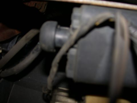 1987 Lincoln Town Car - Close-up of a vacuum hose connection, likely from an engine bay.