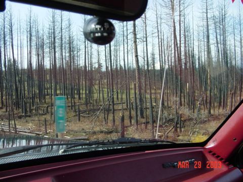1989 Ford Bronco - Remains of the fires last summer?