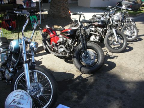 1998 Ford Crown Victoria - Several vintage chopper-style motorcycles, including a red one, are lined up on grass beside a palm tree at a show.
