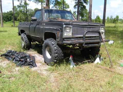 1980 Chevrolet C/K Pickup “my big truck”