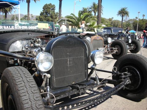 1998 Ford Crown Victoria - line of low bare-chassis rat rods with Ford grille shells and headlights parked under palm trees at a car show.