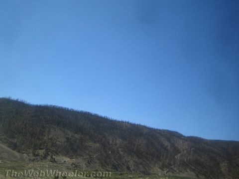 1987 Suzuki Samurai - A landscape scene showing a hillside covered in burnt trees beneath a vast blue sky.