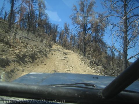 1987 Suzuki Samurai - Driving on a rocky trail through a landscape of burnt trees under a clear blue sky.