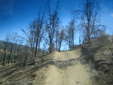 1987 Suzuki Samurai - A dirt road winds through a landscape dotted with the skeletal remains of trees, indicating a past wildfire.