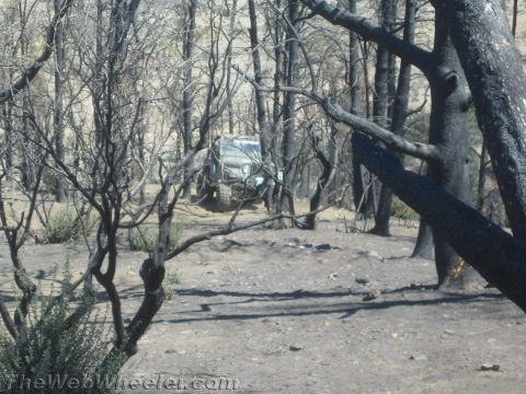 1987 Suzuki Samurai - A silver Jeep Wrangler navigates a dirt path in a forest that has been affected by fire.