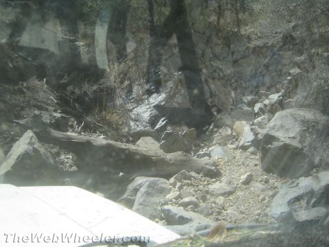 1987 Suzuki Samurai - A rocky, off-road trail scene with a fallen log obstructing the path.