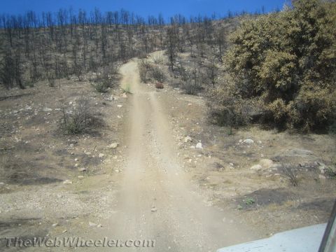 1987 Suzuki Samurai - A dirt road ascends a hill dotted with burnt trees and dry brush under a clear blue sky.