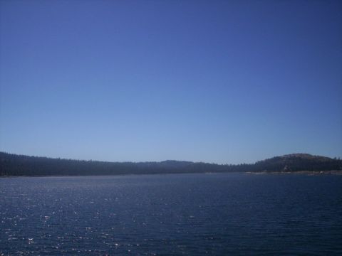 1989 Ford Bronco - A wide expanse of water reflects the bright blue sky, with a dense line of trees on the distant shore.
