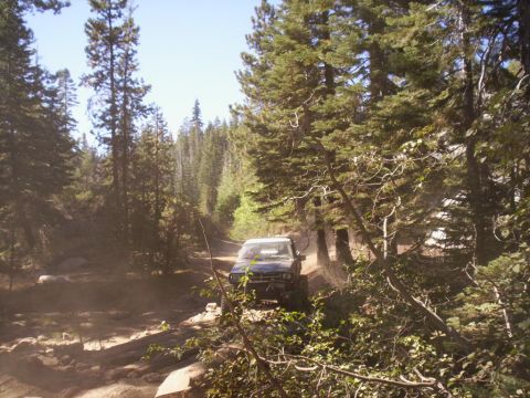1989 Ford Bronco - A vehicle navigates a rough, wooded trail on a sunny day.